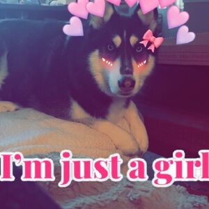 Meet your Posher, Winter